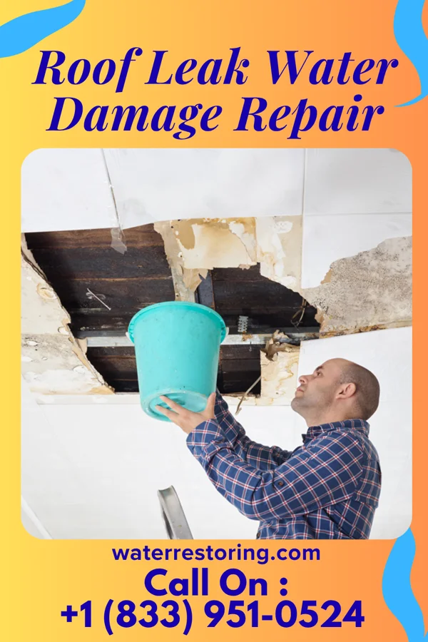 Roof Leak Water Damage Repair in Kellogg, IA